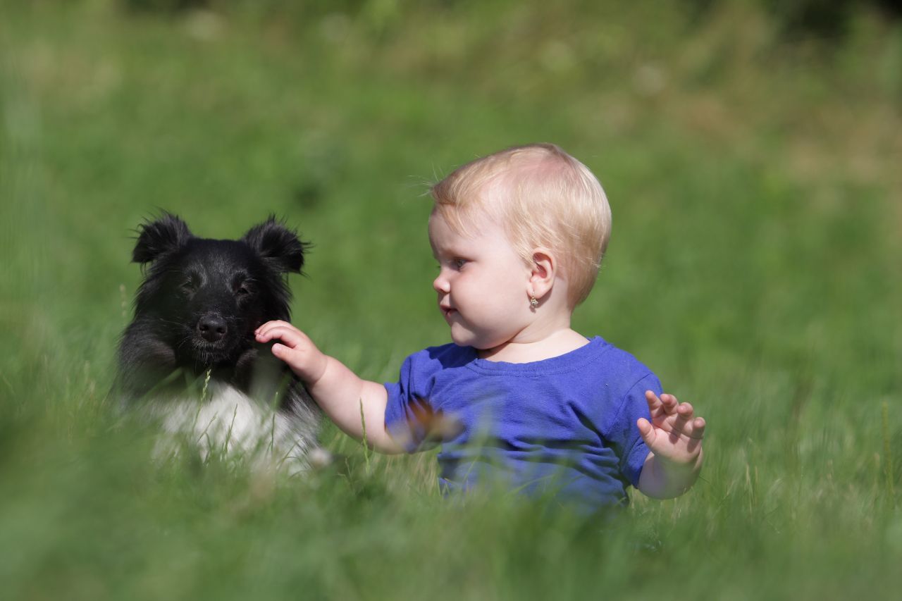 na přehradě na přehradě