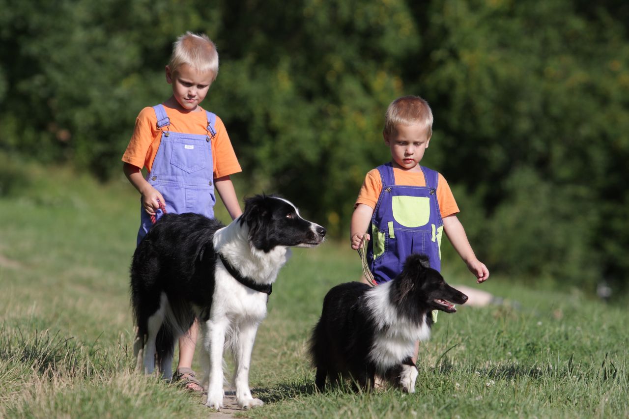 na přehradě na přehradě