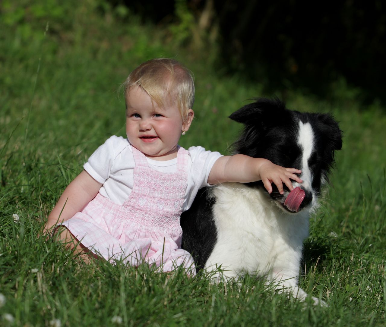 na přehradě na přehradě